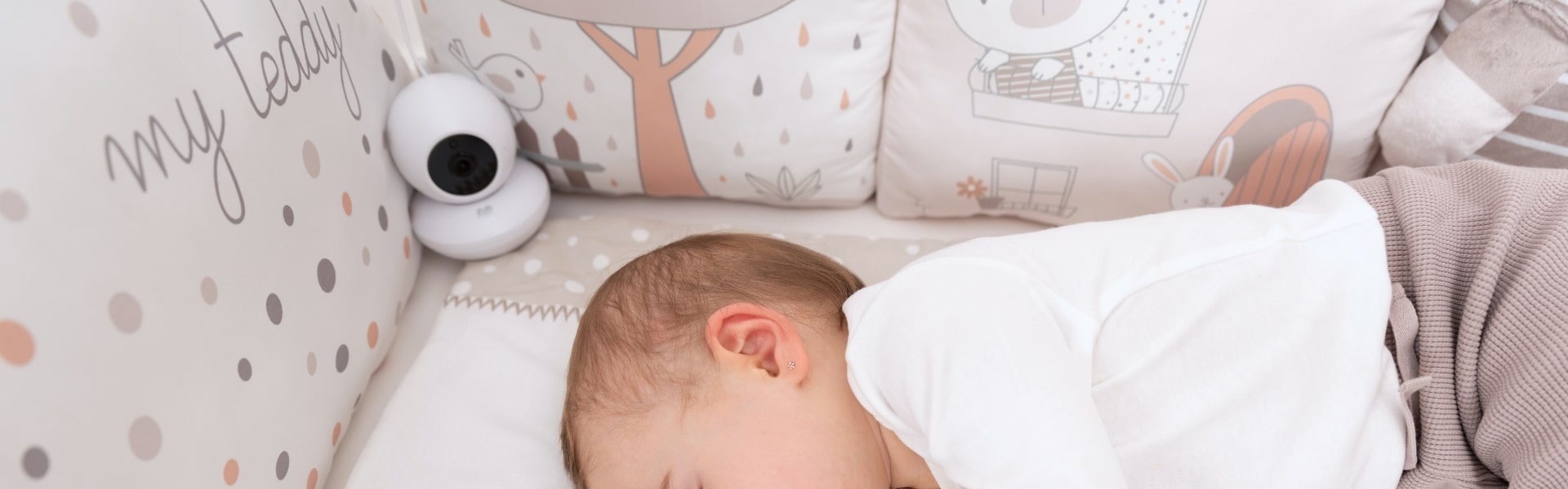 Monitores y Cámaras