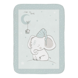 Elephant Time