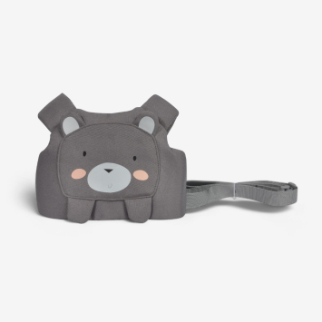 Bear Gris 2024