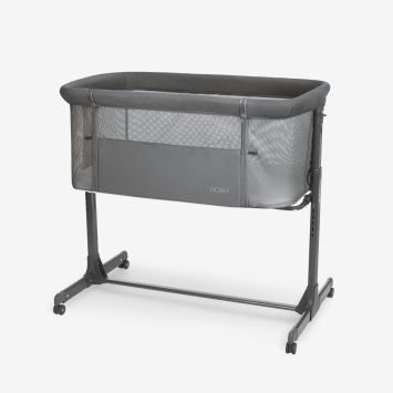 Noah Gris Oscuro 2025